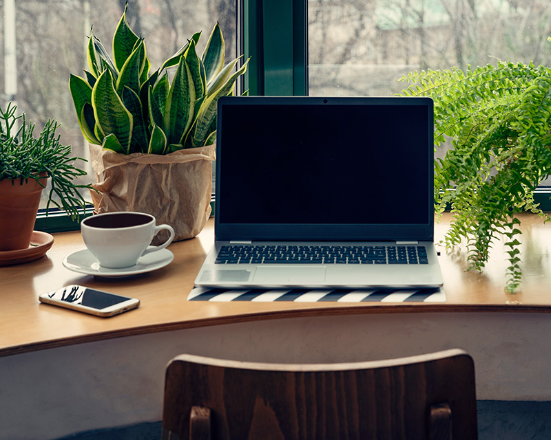 Laptop on a table surrounded by plants; Ready for a video teletherapy session